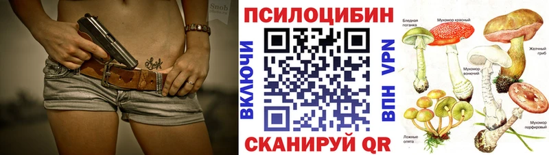 как найти закладки  Болгар  Галлюциногенные грибы мицелий 