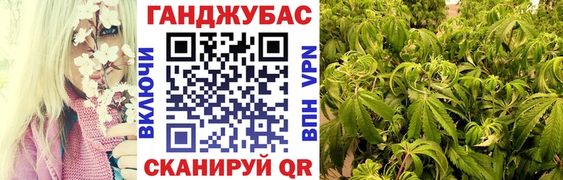 Бошки Шишки конопля Болгар
